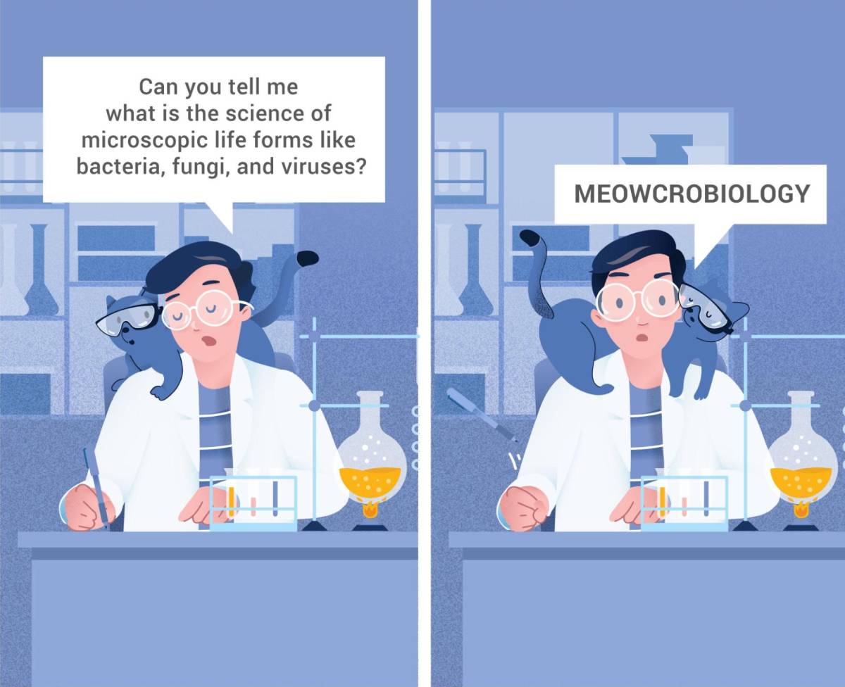 Experience Precision With Our Products